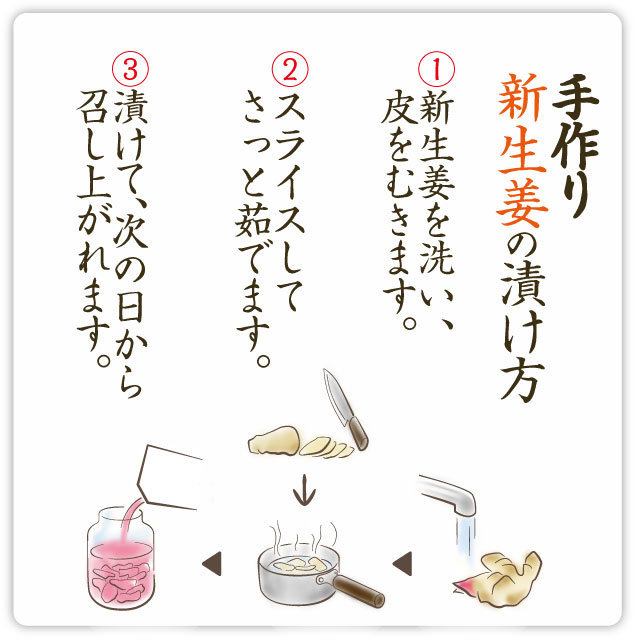 新生姜漬けの素 200ml | 商品情報 | こだまいきいき農場